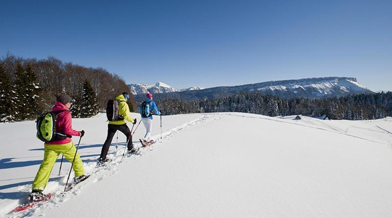 Les Chalets De Ludran Viuz-en-Sallaz Екстер'єр фото