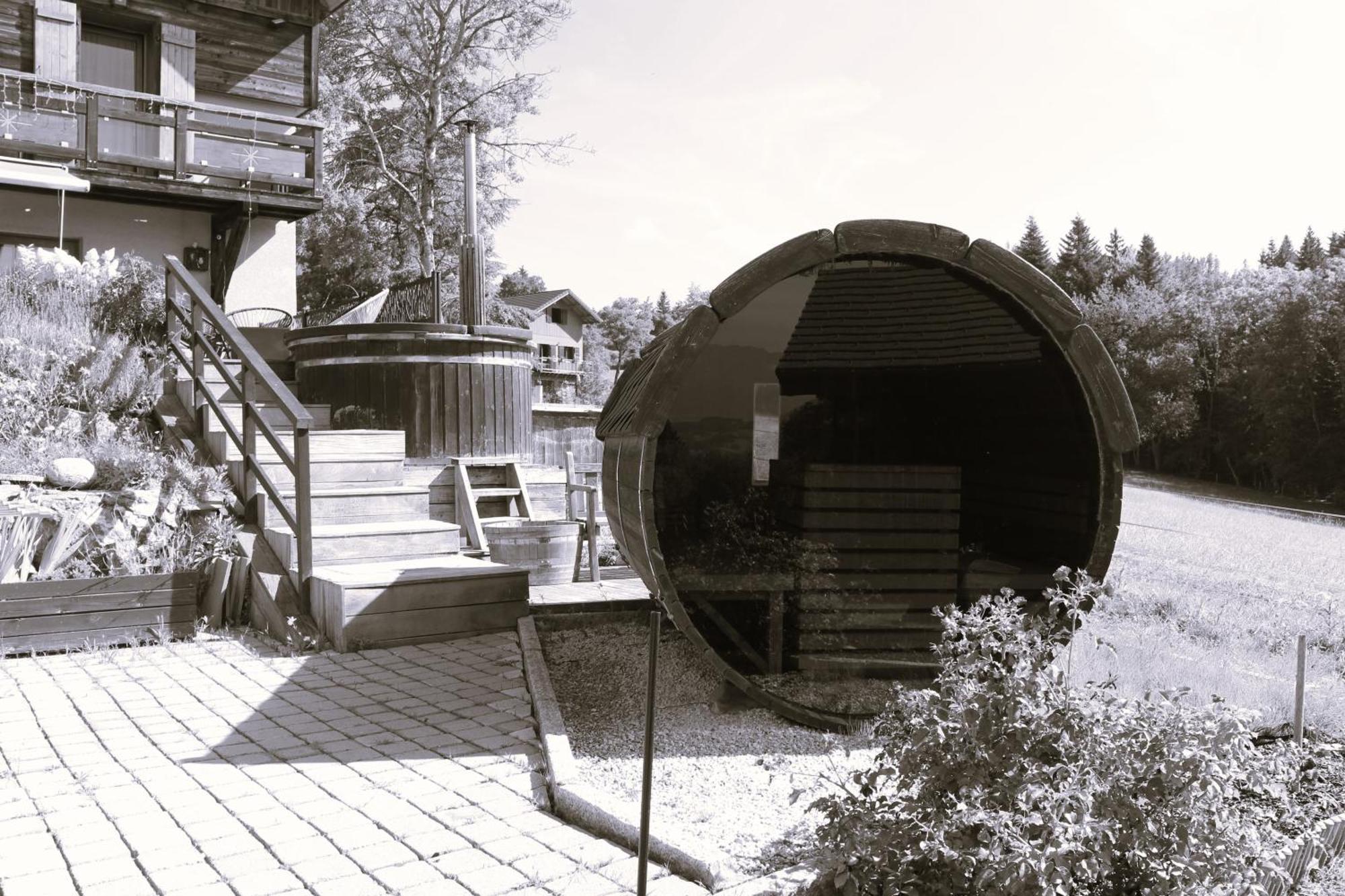 Les Chalets De Ludran Viuz-en-Sallaz Екстер'єр фото