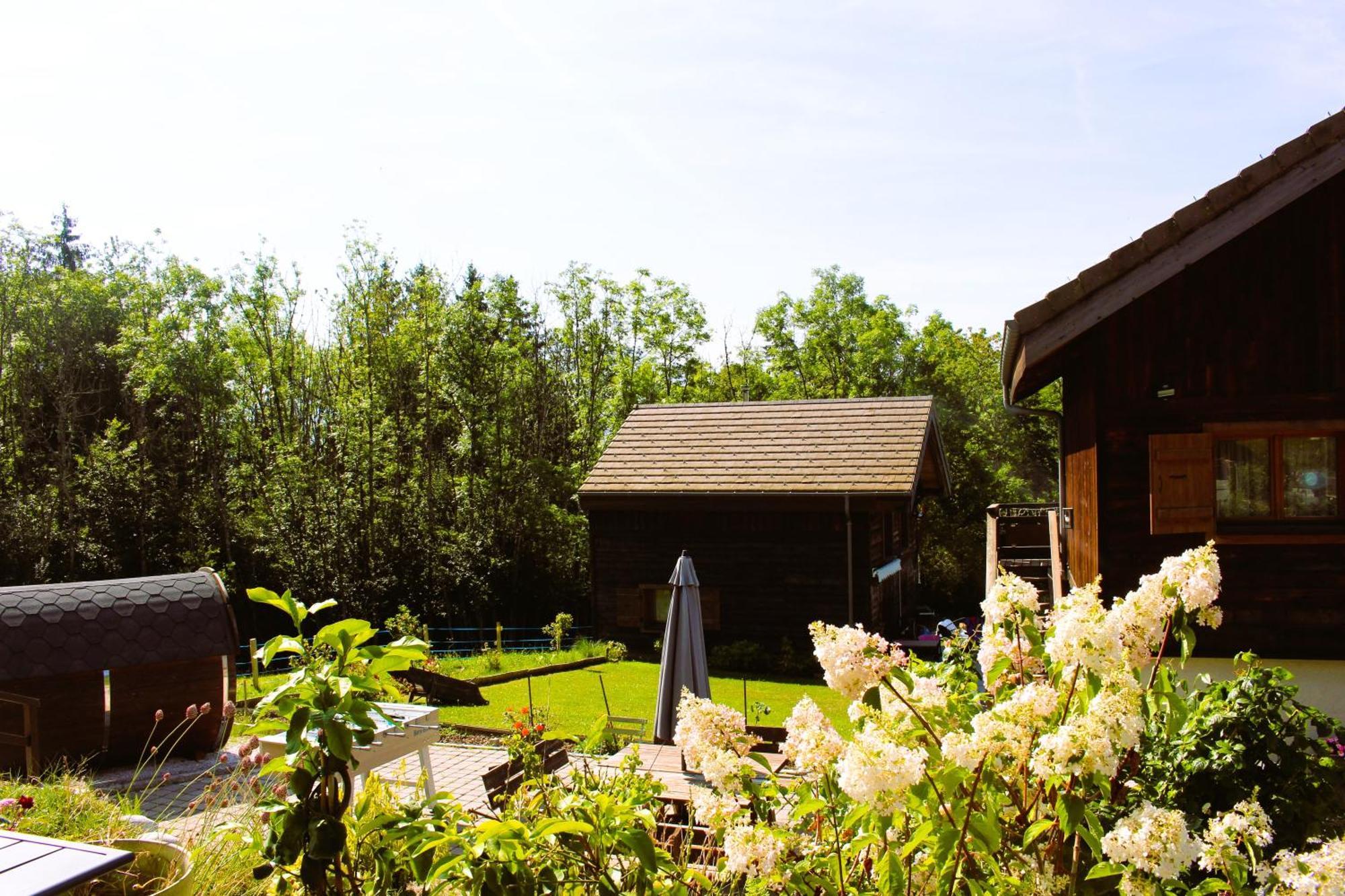 Les Chalets De Ludran Viuz-en-Sallaz Екстер'єр фото